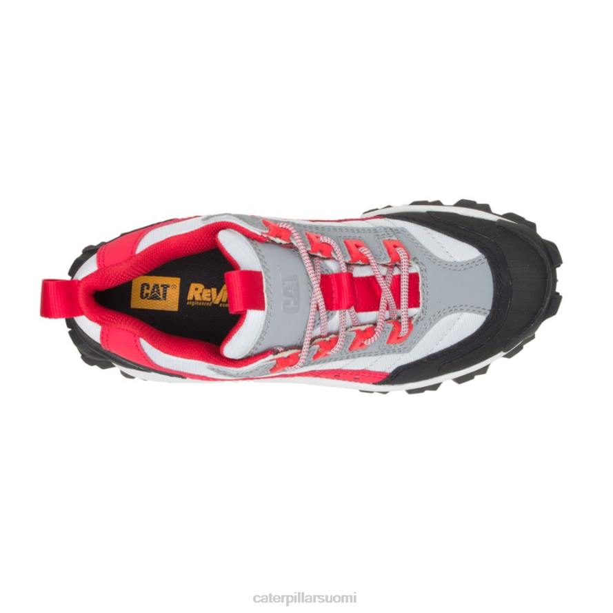 Caterpillar tunkeilijan kenkä miehet tomaatti/villikyyhky | rennot paksut lenkkarit PZ4X135
