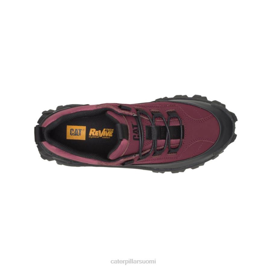 Caterpillar tunkeutuja vedenpitävä galosh miehet musta/windsor viini | vedenkestävä PZ4X124