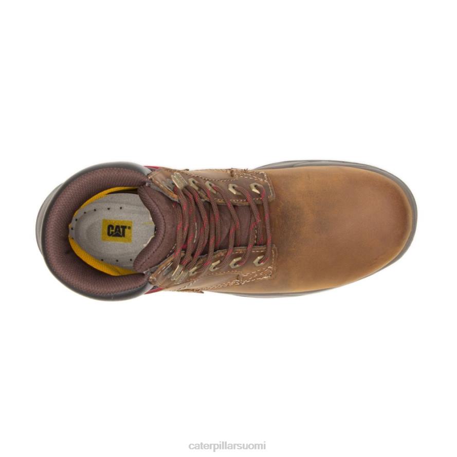 Caterpillar dryverse 6